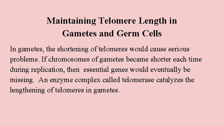 Maintaining Telomere Length in Gametes and Germ Cells In gametes, the shortening of telomeres