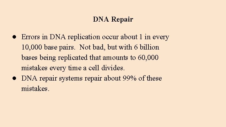 DNA Repair ● Errors in DNA replication occur about 1 in every 10, 000