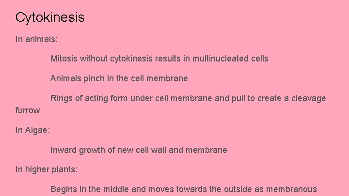 Cytokinesis In animals: Mitosis without cytokinesis results in multinucleated cells Animals pinch in the