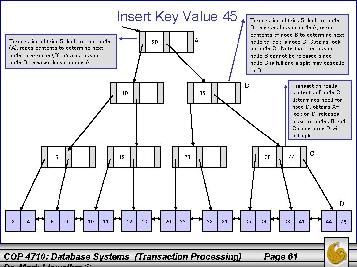 Insert Key Value 45 Transaction obtains S-lock on root node (A), reads contents to