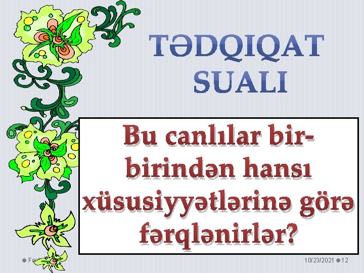 Bu canlılar birbirindən hansı xüsusiyyətlərinə görə fərqlənirlər? Footer Text 10/23/2021 12 