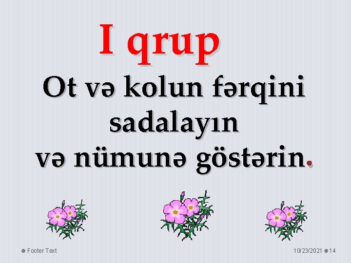 I qrup Ot və kolun fərqini sadalayın və nümunə göstərin. Footer Text 10/23/2021 14