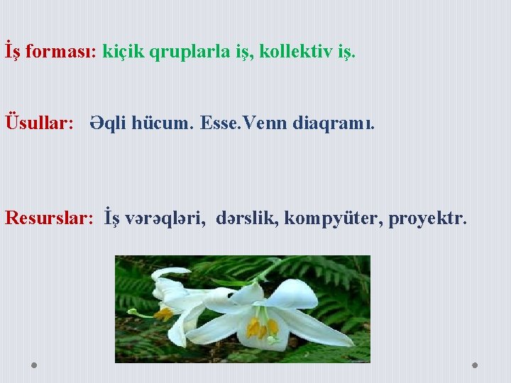 İş forması: kiçik qruplarla iş, kollektiv iş. Üsullar: Əqli hücum. Esse. Venn diaqramı. Resurslar: