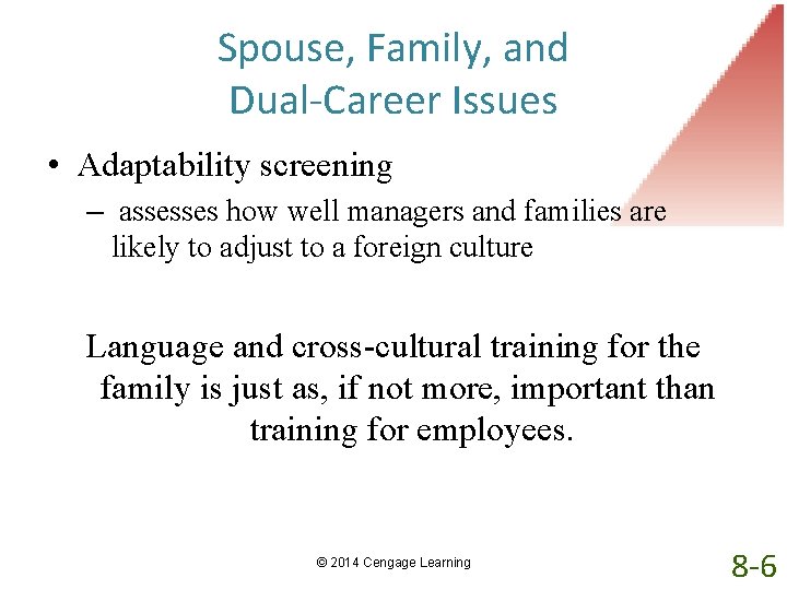 Spouse, Family, and Dual-Career Issues • Adaptability screening – assesses how well managers and