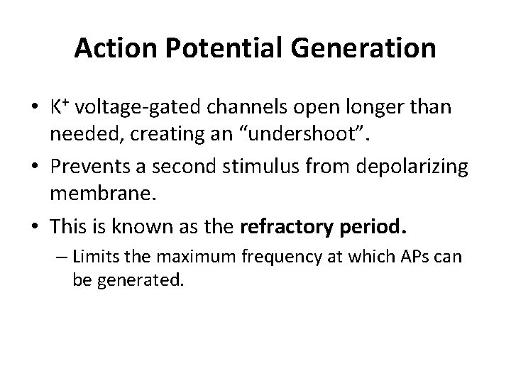Action Potential Generation • K+ voltage-gated channels open longer than needed, creating an “undershoot”.