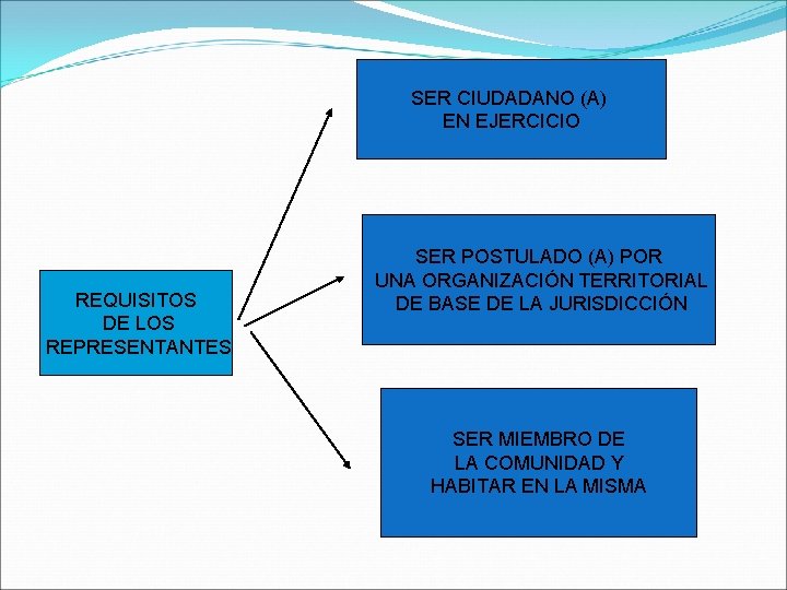SER CIUDADANO (A) EN EJERCICIO REQUISITOS DE LOS REPRESENTANTES SER POSTULADO (A) POR UNA