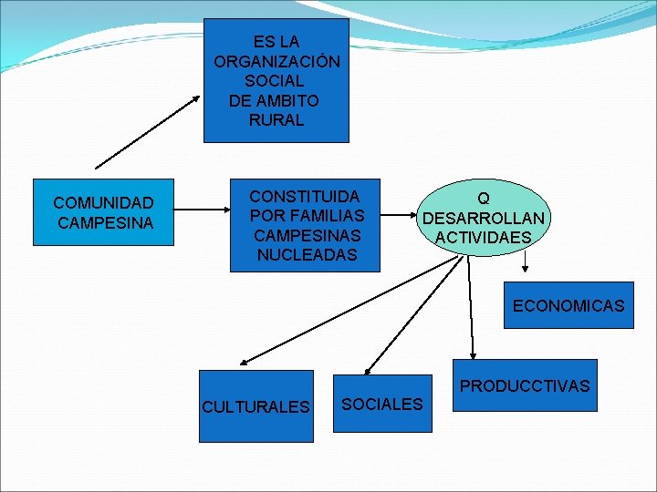 ES LA ORGANIZACIÓN SOCIAL DE AMBITO RURAL COMUNIDAD CAMPESINA CONSTITUIDA POR FAMILIAS CAMPESINAS NUCLEADAS