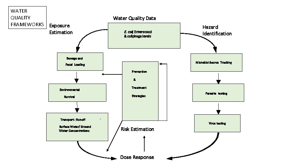 WATER QUALITY FRAMEWORKS Exposure Estimation Water Quality Data E. coli; Enterococci & coliphage levels