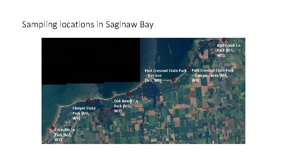 Sampling locations in Saginaw Bay Bird Creek Co. Park (M 1, W 1) Port