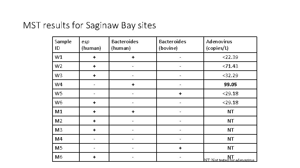MST results for Saginaw Bay sites Sample ID esp (human) Bacteroides (bovine) Adenovirus (copies/L)