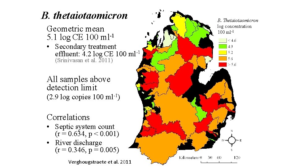 B. thetaiotaomicron Geometric mean 5. 1 log CE 100 ml-1 • Secondary treatment effluent:
