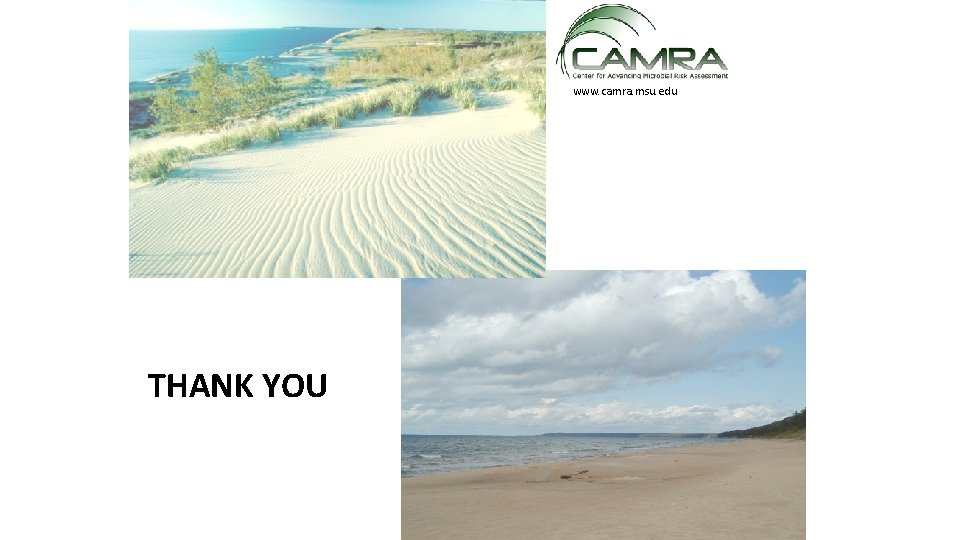www. camra. msu. edu THANK YOU 46 