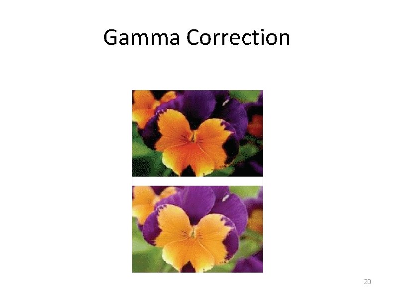 Gamma Correction 20 