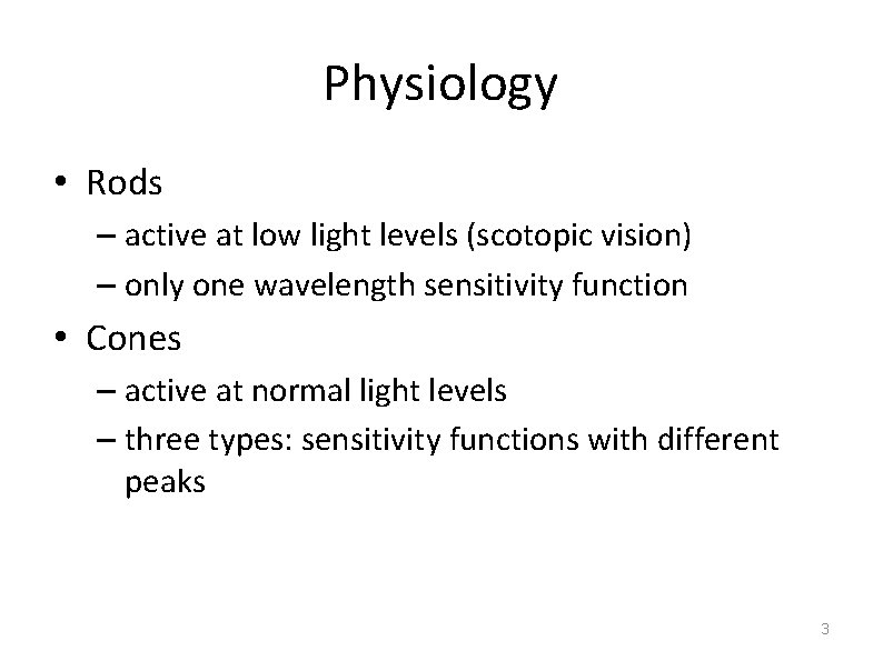 Physiology • Rods – active at low light levels (scotopic vision) – only one