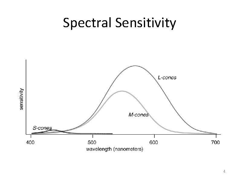 Spectral Sensitivity 4 