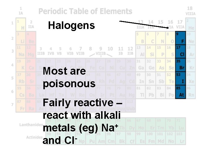 Halogens Most are poisonous Fairly reactive – react with alkali metals (eg) Na+ and Halogens Most are poisonous Fairly reactive – react with alkali metals (eg) Na+ and