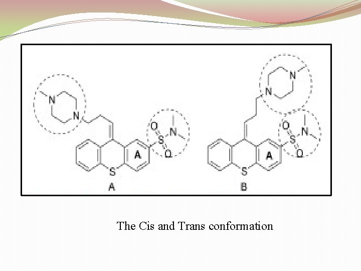 The Cis and Trans conformation 