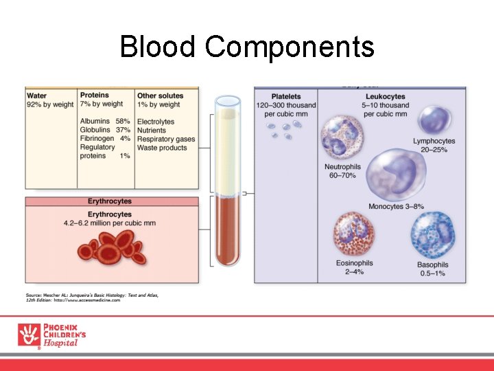 Blood Components 