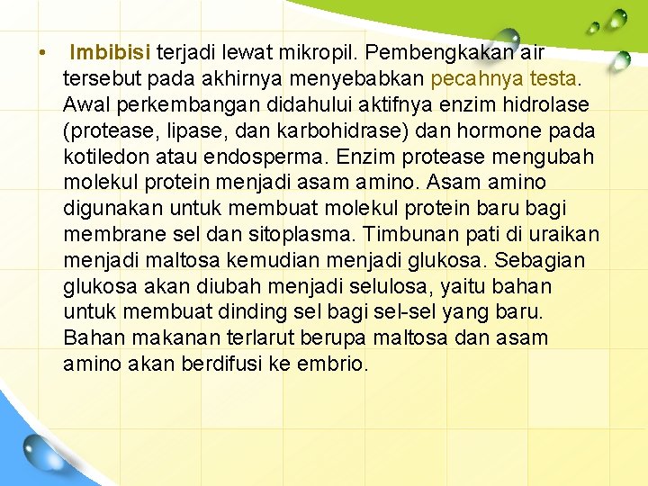  • Imbibisi terjadi lewat mikropil. Pembengkakan air tersebut pada akhirnya menyebabkan pecahnya testa.