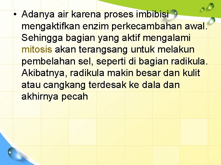  • Adanya air karena proses imbibisi mengaktifkan enzim perkecambahan awal. Sehingga bagian yang