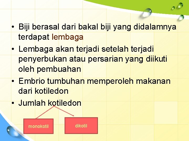  • Biji berasal dari bakal biji yang didalamnya terdapat lembaga • Lembaga akan