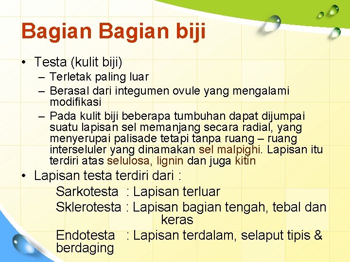 Bagian biji • Testa (kulit biji) – Terletak paling luar – Berasal dari integumen