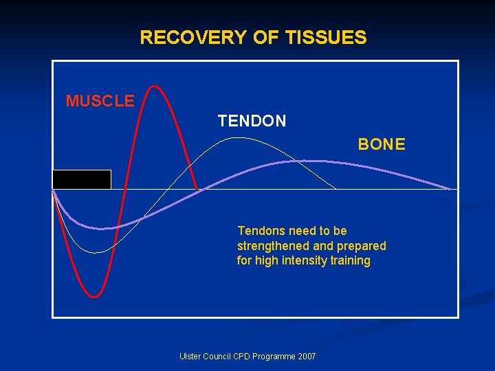 RECOVERY OF TISSUES MUSCLE TENDON BONE Tendons need to be strengthened and prepared for