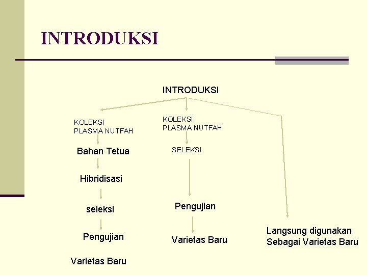 INTRODUKSI KOLEKSI PLASMA NUTFAH Bahan Tetua KOLEKSI PLASMA NUTFAH SELEKSI Hibridisasi seleksi Pengujian Varietas