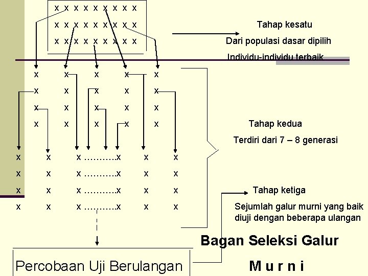 x x x x x Tahap kesatu x x x x x Dari populasi