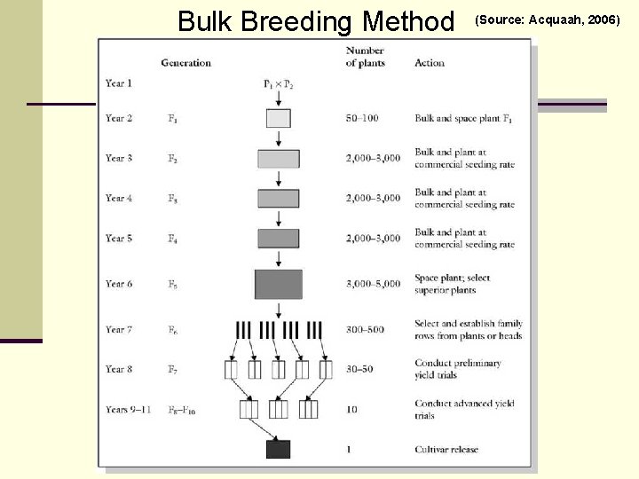 Bulk Breeding Method (Source: Acquaah, 2006) 