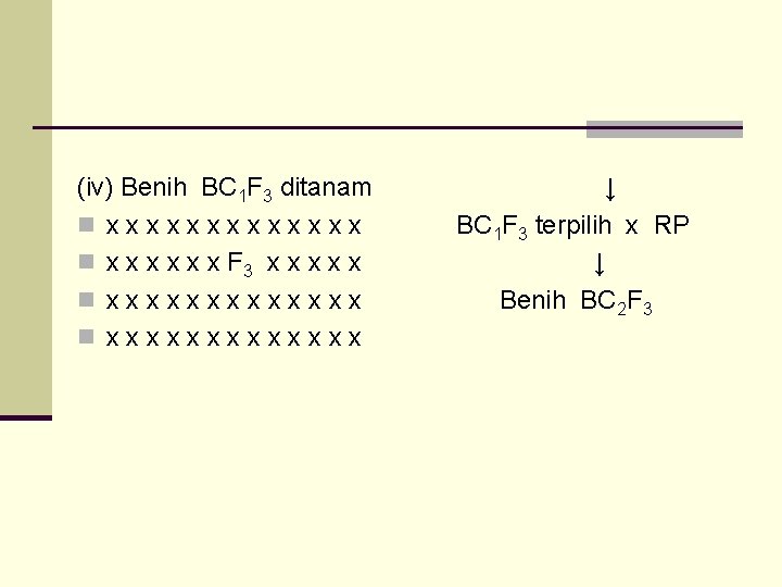 (iv) Benih BC 1 F 3 ditanam n xxxxxxx n x x x F