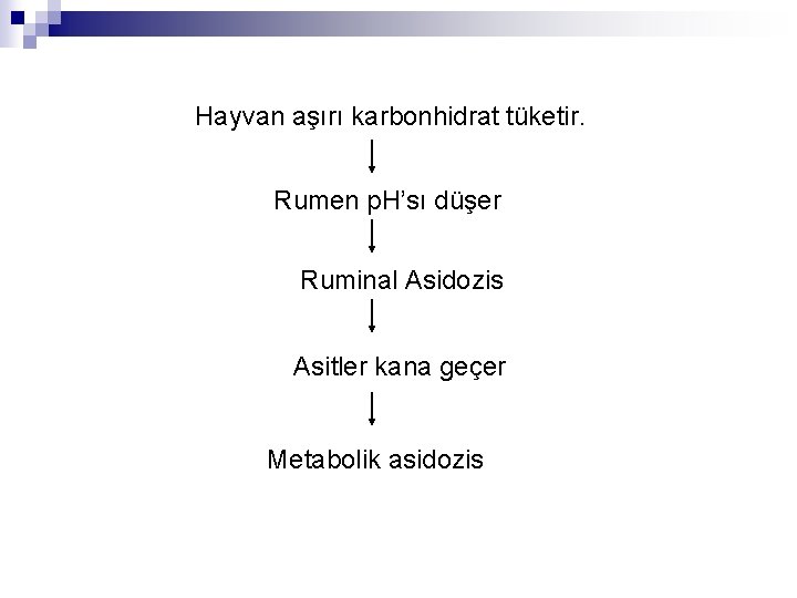 Hayvan aşırı karbonhidrat tüketir. Rumen p. H’sı düşer Ruminal Asidozis Asitler kana geçer Metabolik