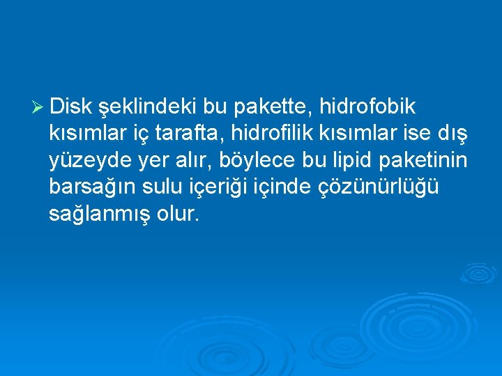 Ø Disk şeklindeki bu pakette, hidrofobik kısımlar iç tarafta, hidrofilik kısımlar ise dış yüzeyde