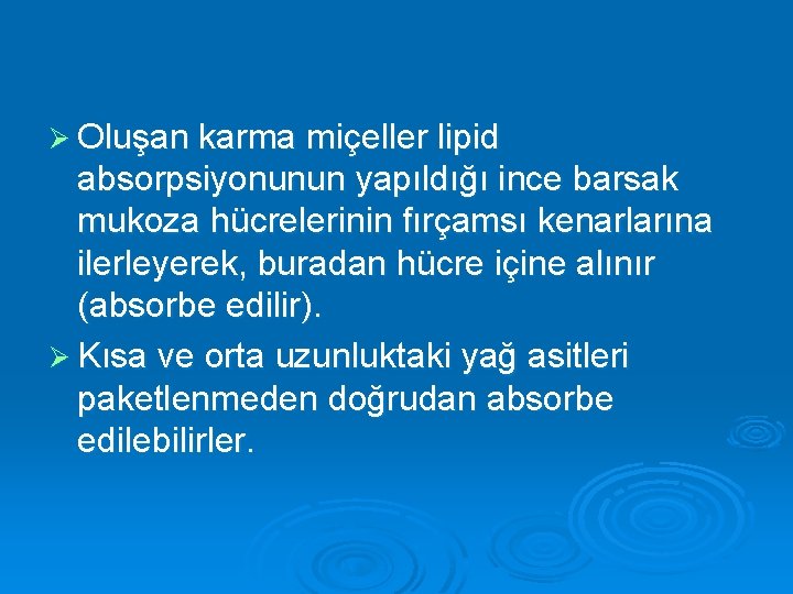 Ø Oluşan karma miçeller lipid absorpsiyonunun yapıldığı ince barsak mukoza hücrelerinin fırçamsı kenarlarına ilerleyerek,