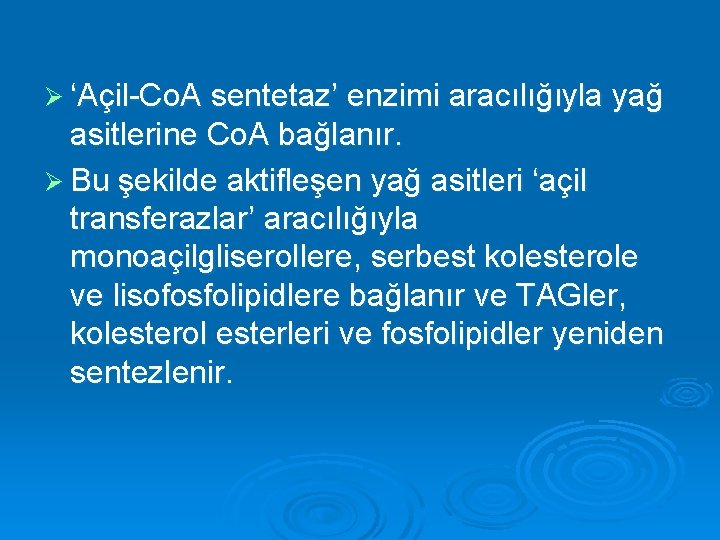 Ø ‘Açil-Co. A sentetaz’ enzimi aracılığıyla yağ asitlerine Co. A bağlanır. Ø Bu şekilde