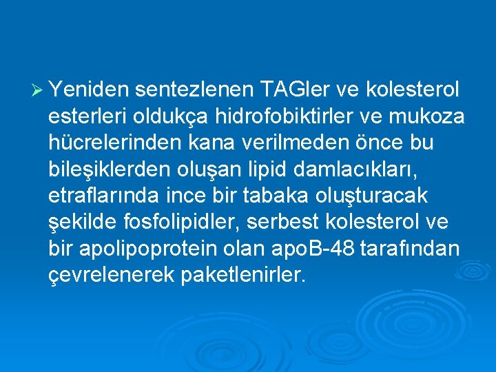 Ø Yeniden sentezlenen TAGler ve kolesterol esterleri oldukça hidrofobiktirler ve mukoza hücrelerinden kana verilmeden