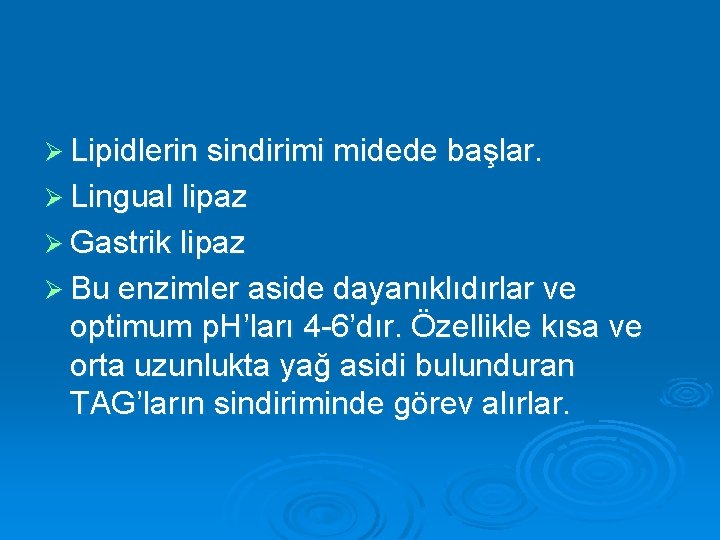 Ø Lipidlerin sindirimi midede başlar. Ø Lingual lipaz Ø Gastrik lipaz Ø Bu enzimler