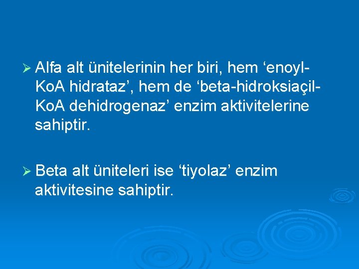 Ø Alfa alt ünitelerinin her biri, hem ‘enoyl- Ko. A hidrataz’, hem de ‘beta-hidroksiaçil.