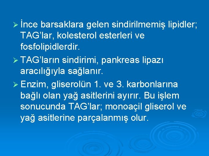 Ø İnce barsaklara gelen sindirilmemiş lipidler; TAG’lar, kolesterol esterleri ve fosfolipidlerdir. Ø TAG’ların sindirimi,