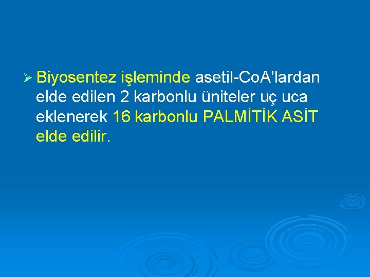 Ø Biyosentez işleminde asetil-Co. A’lardan elde edilen 2 karbonlu üniteler uç uca eklenerek 16