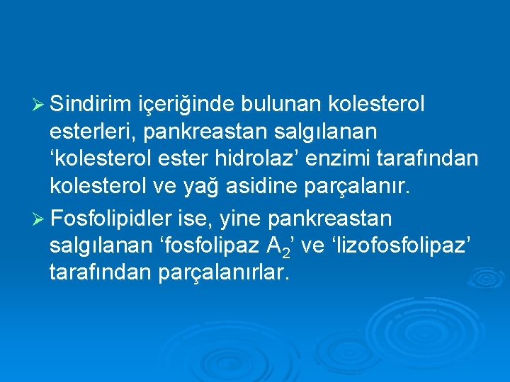 Ø Sindirim içeriğinde bulunan kolesterol esterleri, pankreastan salgılanan ‘kolesterol ester hidrolaz’ enzimi tarafından kolesterol