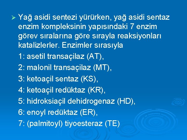 Ø Yağ asidi sentezi yürürken, yağ asidi sentaz enzim kompleksinin yapısındaki 7 enzim görev