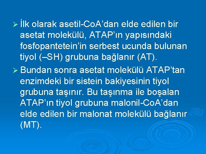 Ø İlk olarak asetil-Co. A’dan elde edilen bir asetat molekülü, ATAP’ın yapısındaki fosfopantetein’in serbest