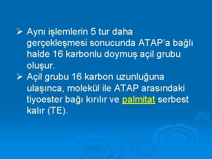 Ø Aynı işlemlerin 5 tur daha gerçekleşmesi sonucunda ATAP’a bağlı halde 16 karbonlu doymuş