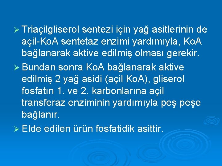 Ø Triaçilgliserol sentezi için yağ asitlerinin de açil-Ko. A sentetaz enzimi yardımıyla, Ko. A