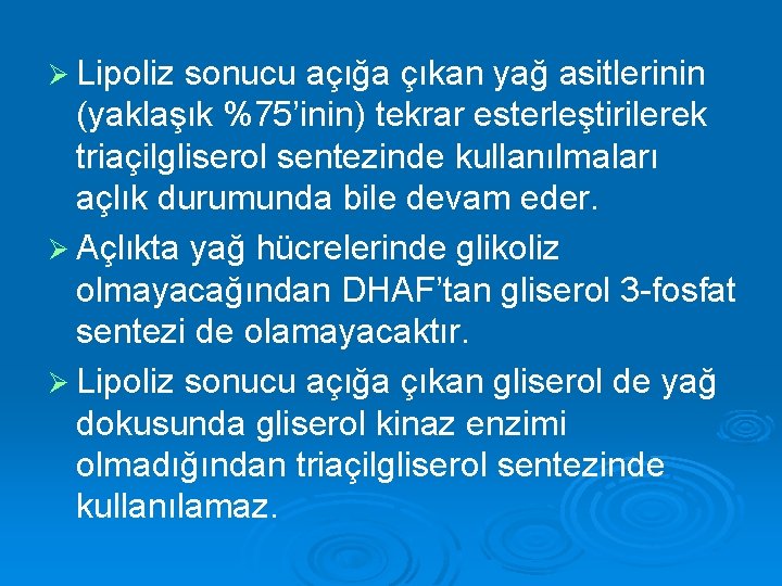 Ø Lipoliz sonucu açığa çıkan yağ asitlerinin (yaklaşık %75’inin) tekrar esterleştirilerek triaçilgliserol sentezinde kullanılmaları