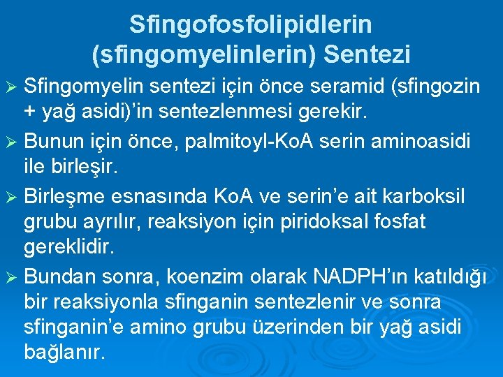 Sfingofosfolipidlerin (sfingomyelinlerin) Sentezi Sfingomyelin sentezi için önce seramid (sfingozin + yağ asidi)’in sentezlenmesi gerekir.