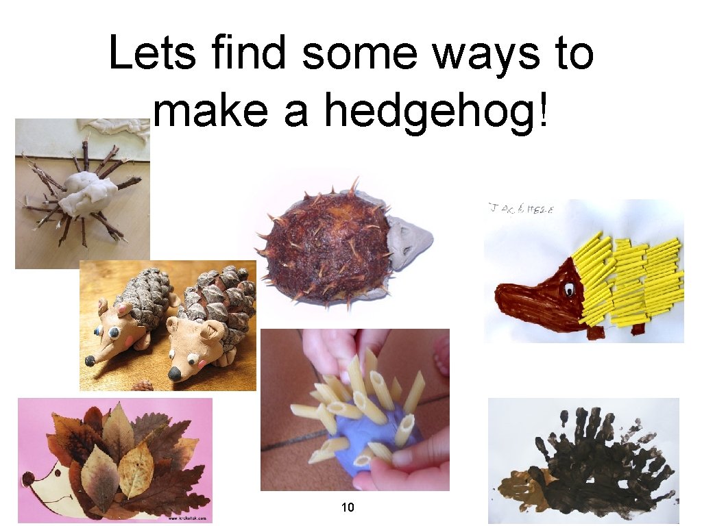 Lets find some ways to make a hedgehog! 10 