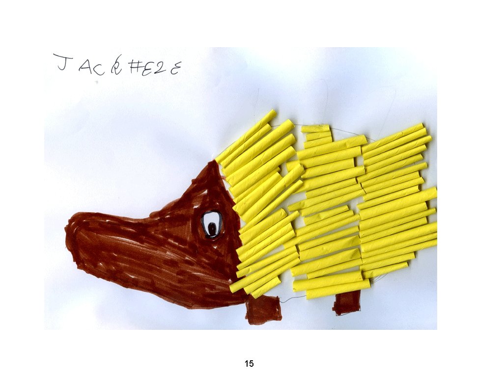 15 