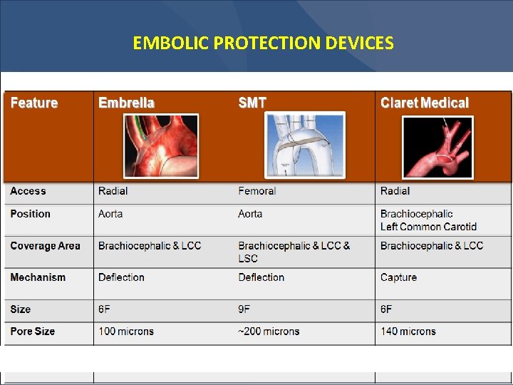 EMBOLIC PROTECTION DEVICES 